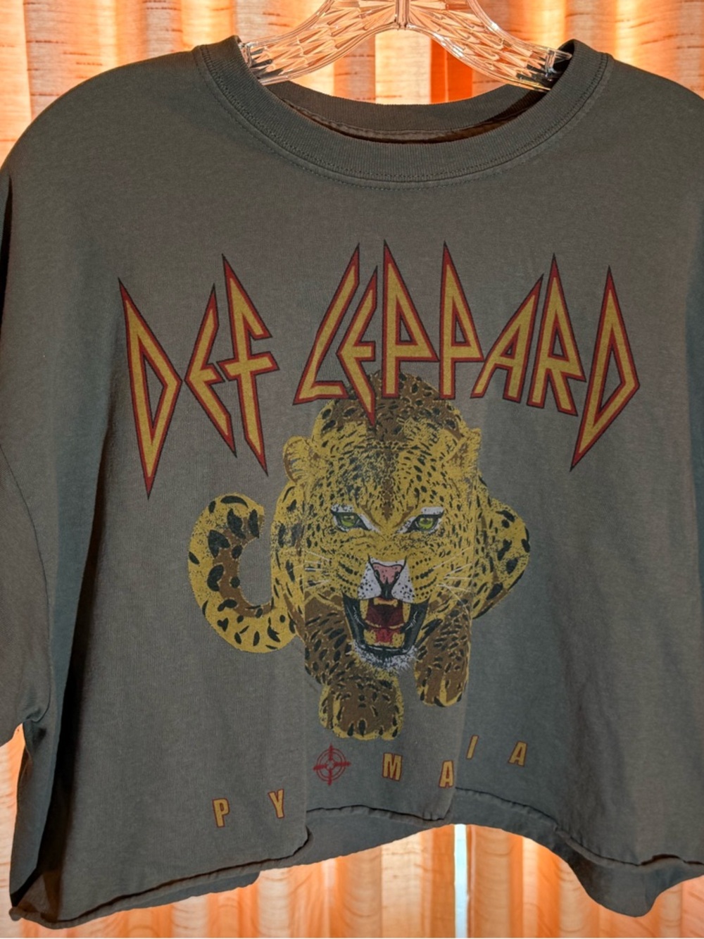 Tilly's Def Leppard Cropped Leopard Sweatshirt